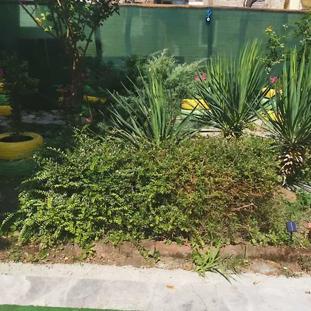 Km!sofia - за гости ソフィア