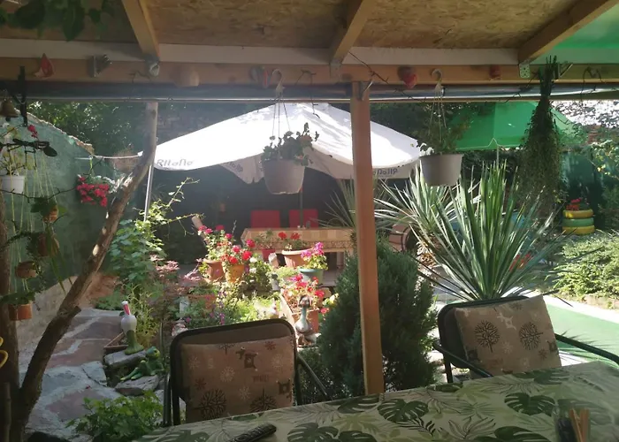 Km!sofia - за гости * ソフィア