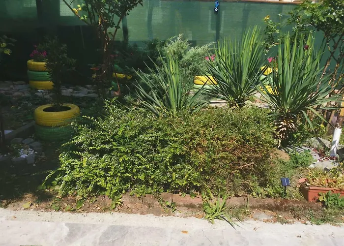 Km!sofia - за гости ソフィア