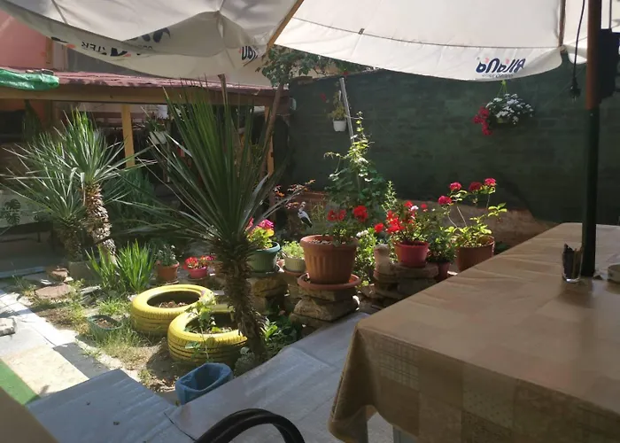 Km!sofia - за гости