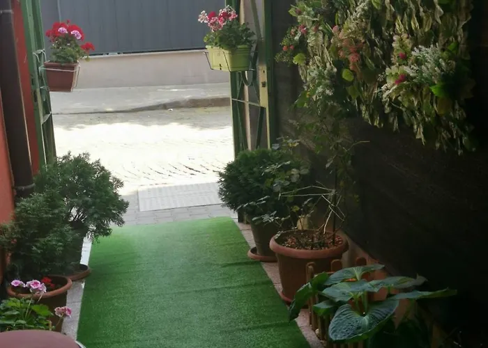 Km!sofia - за гости * ソフィア