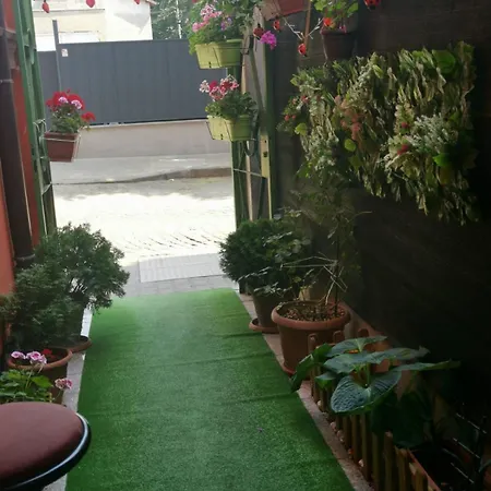 Km!sofia - за гости * ソフィア